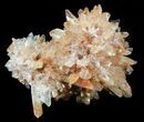 Orange Creedite Crystal Cluster - Durango, Mexico #51657-1